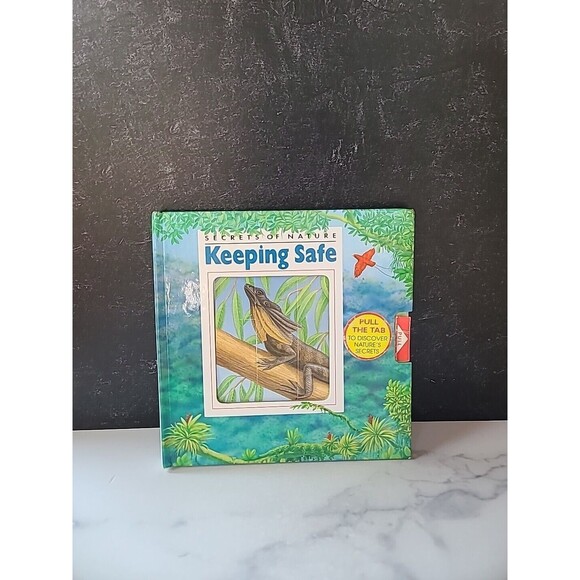 Keeping Safe by Sarah A. Waters (1993, Hardcover) - Picture 1 of 10